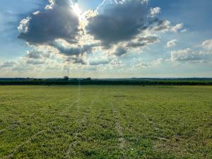 IMG_6974.jpg