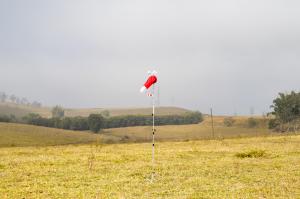 IMG_5684.jpg