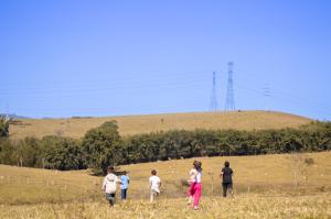 IMG_6019.jpg